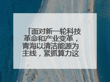 面对新一轮科技革命和产业变革，青海以清洁能源为主线，紧抓算力这个数字经济的“血液”、科技主权的“筹码”、产业升级的“杠杆”、绿色转型的“支点”，勇于撬动国家“双碳”战略、“东数西算”工程重大发展新机遇