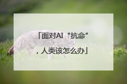 面对AI“抗命”，人类该怎么办