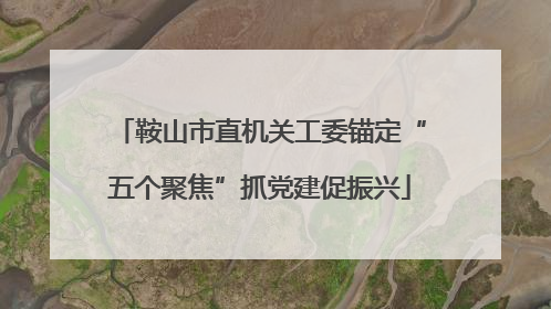 鞍山市直机关工委锚定“五个聚焦”抓党建促振兴