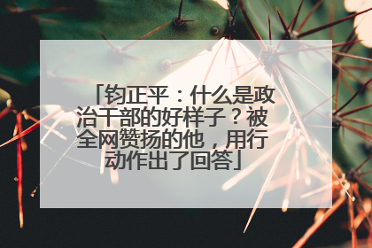 钧正平：什么是政治干部的好样子？被全网赞扬的他，用行动作出了回答