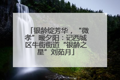 银龄绽芳华，“微孝”暖夕阳：记西城区牛街街道“银龄之星”刘茹月