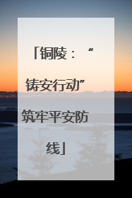 铜陵：“铸安行动”筑牢平安防线