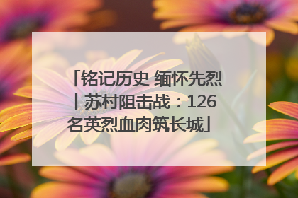 铭记历史 缅怀先烈丨苏村阻击战：126名英烈血肉筑长城