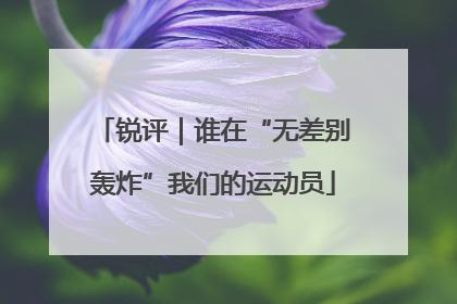 锐评｜谁在“无差别轰炸”我们的运动员