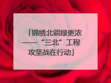 锦绣北疆绿更浓——“三北”工程攻坚战在行动