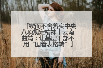 锲而不舍落实中央八项规定精神丨云南曲靖：让基层干部不用“围着表格转”