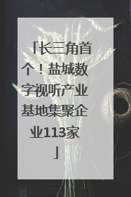 长三角首个！盐城数字视听产业基地集聚企业113家