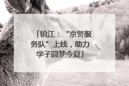 镇江：“京警服务队”上线，助力学子圆梦今夏