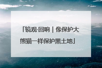 镜观·回响｜像保护大熊猫一样保护黑土地