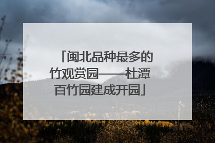 闽北品种最多的竹观赏园——杜潭百竹园建成开园