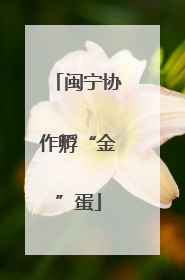 闽宁协作孵“金”蛋