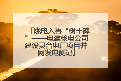 陇电入鲁“树丰碑”——电建核电公司建设灵台电厂项目并网发电侧记