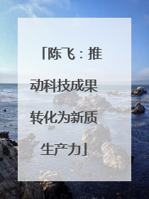 陈飞：推动科技成果转化为新质生产力