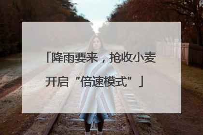 降雨要来，抢收小麦开启“倍速模式”