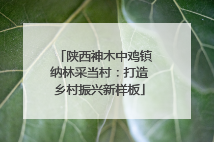 陕西神木中鸡镇纳林采当村：打造乡村振兴新样板