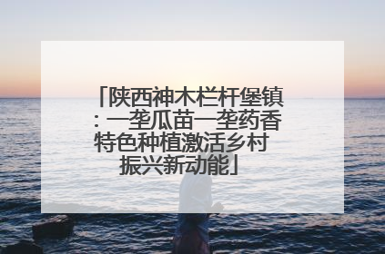 陕西神木栏杆堡镇：一垄瓜苗一垄药香 特色种植激活乡村振兴新动能