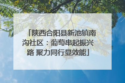 陕西合阳县新池镇南沟社区：葡萄串起振兴路 聚力同行显效能