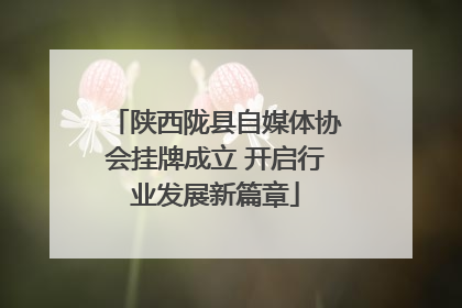 陕西陇县自媒体协会挂牌成立 开启行业发展新篇章