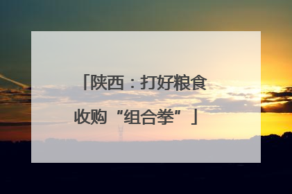 陕西：打好粮食收购“组合拳”