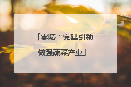 零陵：党建引领 做强蔬菜产业