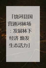 饶河县国营通河林场：发展林下经济 焕发生态活力