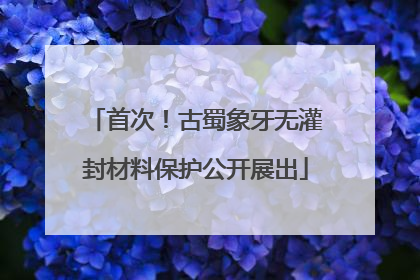 首次！古蜀象牙无灌封材料保护公开展出