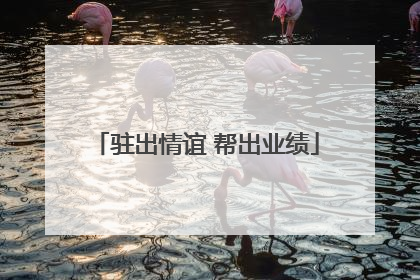 驻出情谊 帮出业绩
