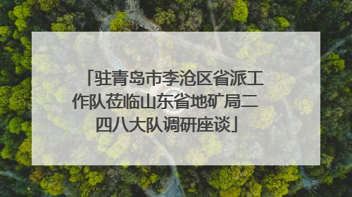 驻青岛市李沧区省派工作队莅临山东省地矿局二四八大队调研座谈