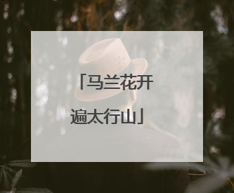 马兰花开遍太行山