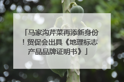 马家沟芹菜再添新身份！贸促会出具《地理标志产品品牌证明书》