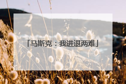 马斯克：我进退两难