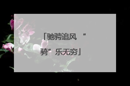 驰骋追风 “骑”乐无穷