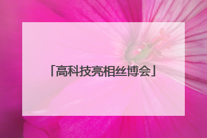 高科技亮相丝博会