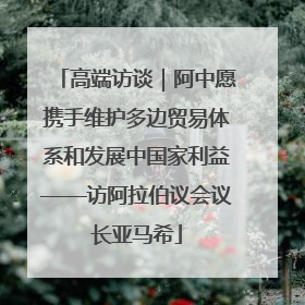 高端访谈｜阿中愿携手维护多边贸易体系和发展中国家利益——访阿拉伯议会议长亚马希