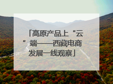 高原产品上“云”端——西藏电商发展一线观察