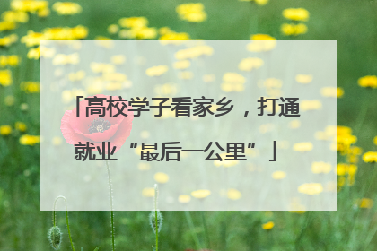 高校学子看家乡，打通就业“最后一公里”