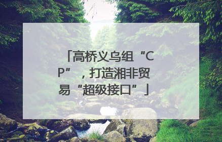 高桥义乌组“CP”，打造湘非贸易“超级接口”