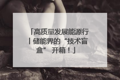 高质量发展能源行丨储能界的“技术盲盒” 开箱！