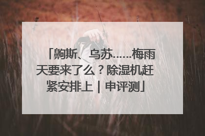 齁斯、乌苏……梅雨天要来了么？除湿机赶紧安排上｜申评测