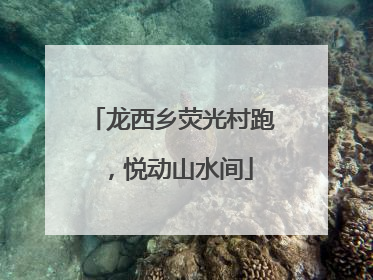 龙西乡荧光村跑，悦动山水间
