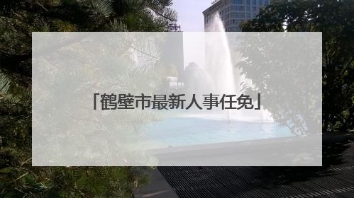 鹤壁市最新人事任免