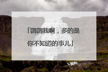 鹮鹮我啊，多的是你不知道的事儿