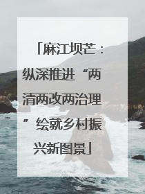 麻江坝芒：纵深推进“两清两改两治理”绘就乡村振兴新图景