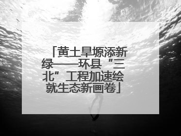 黄土旱塬添新绿——环县“三北”工程加速绘就生态新画卷