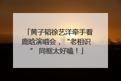 黄子韬徐艺洋牵手看鹿晗演唱会，“老相识” 同框太好嗑！