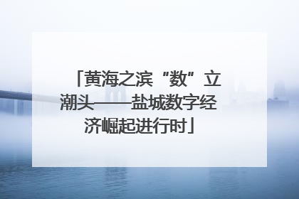 黄海之滨“数”立潮头——盐城数字经济崛起进行时