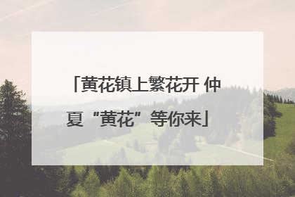 黄花镇上繁花开 仲夏“黄花”等你来