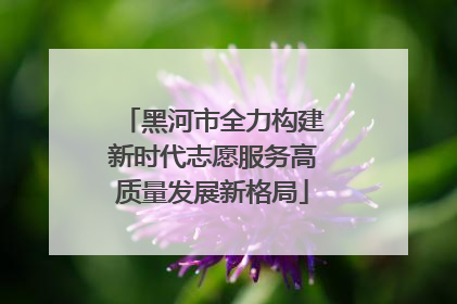 黑河市全力构建新时代志愿服务高质量发展新格局
