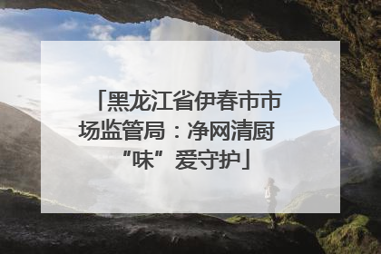 黑龙江省伊春市市场监管局：净网清厨 “味”爱守护
