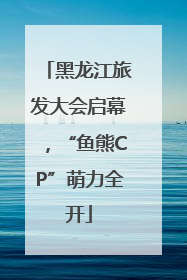 黑龙江旅发大会启幕，“鱼熊CP”萌力全开